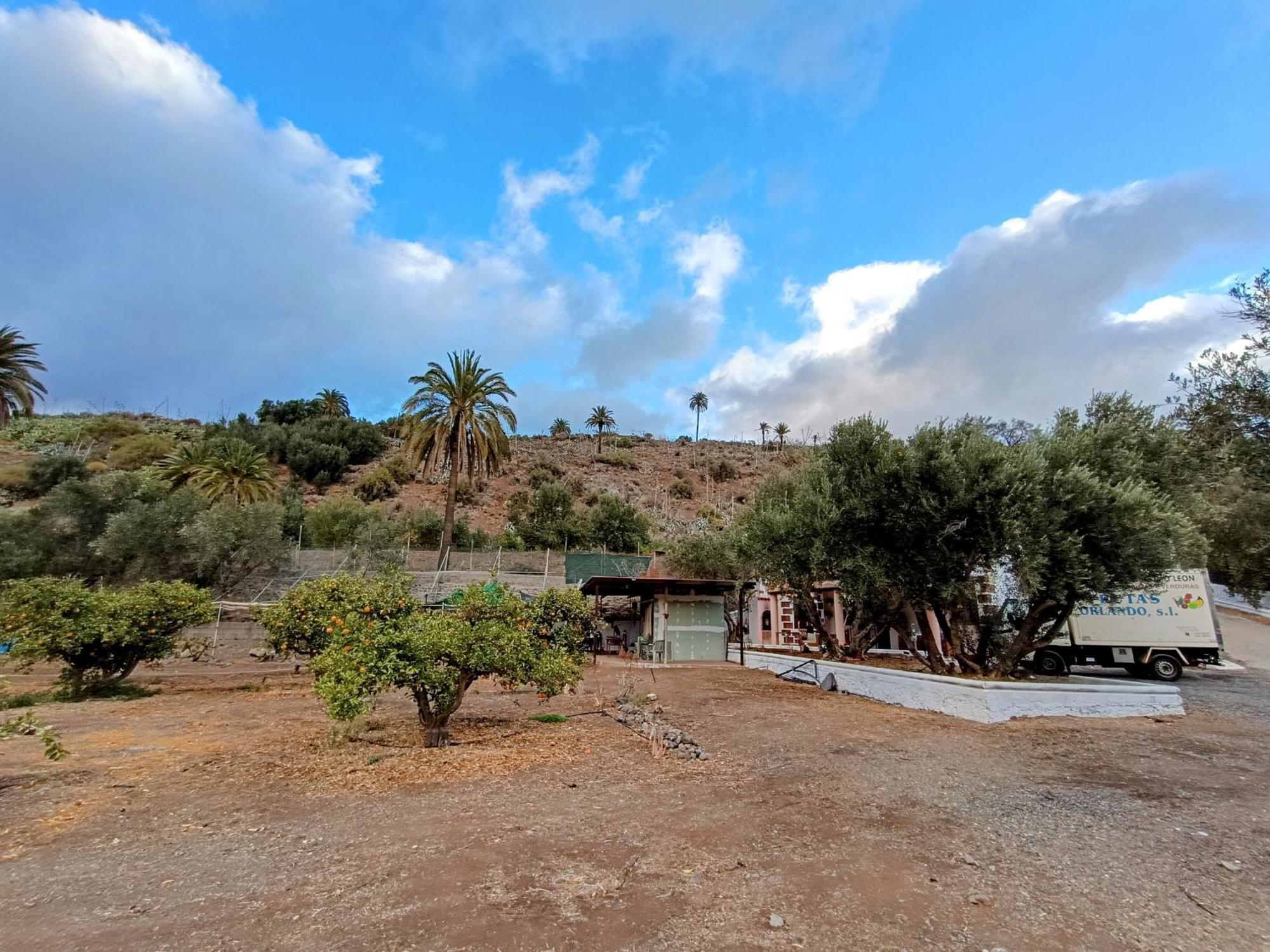 La Casa De La Pradera Bed & Breakfast Santa Lucia De Tirajana ภายนอก รูปภาพ